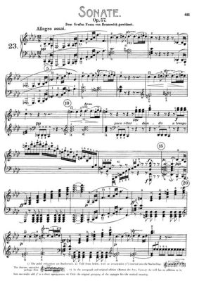 Sonat för Piano Nr. 23 Appassionata av Ludwig van Beethoven: En dynamisk symfoni i moll som uttrycker passion och innerlig sorg.